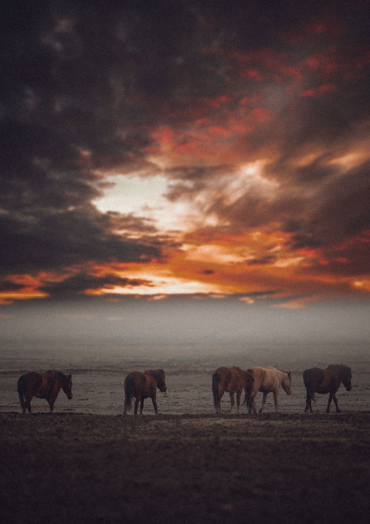 Atardecer llanero